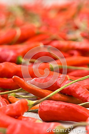 Red peppers - shallow DOF Stock Photo