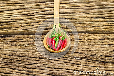 Red peppers in wooden spoon on wooden background Stock Photo