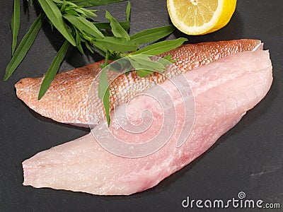 Red Perch Fillet Stock Photo