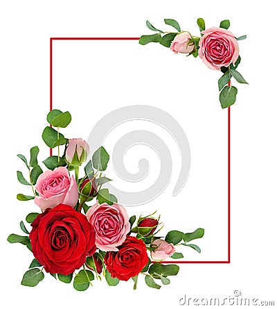 Red and pink rose flowers with eucalyptus leaves in a corner arr Stock Photo