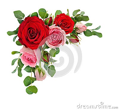 Red and pink rose flowers with eucalyptus leaves in a corner arr Stock Photo