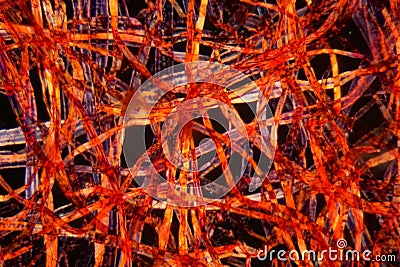 Red plastic fibers under the microscope Stock Photo