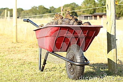 Red Plastic wheelbarrow with horse manure Stock Photo