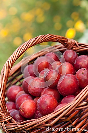 Red plums Stock Photo