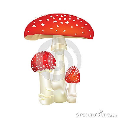 Red poison mushroom isolated on white background. Cartoon Illustration