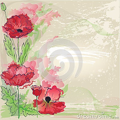 Red poppies Vector Illustration