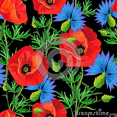 Red poppies ,blue cornflowers Cartoon Illustration