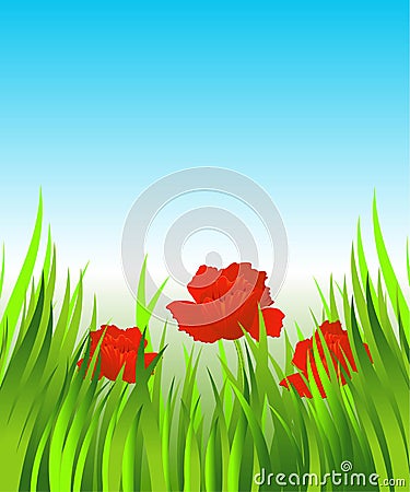 Red poppies in the grass Vector Illustration