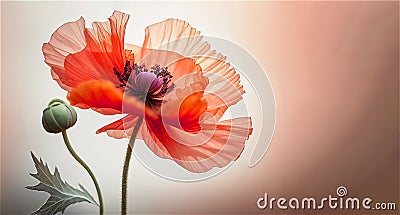 Red poppies on a light background in watercolors. Minimalist banners, space for text, generative AI content. Stock Photo