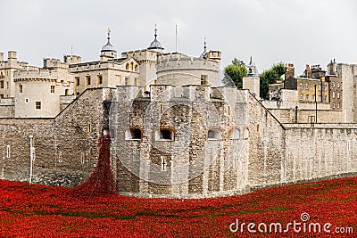 Red poppies in the moat of the Tower of London Stock Photo