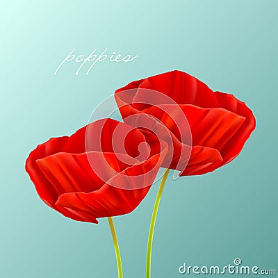 Red poppies Vector Illustration