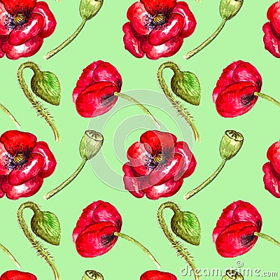 Red poppies watercolor seamless pattern on green background hand drawing Stock Photo