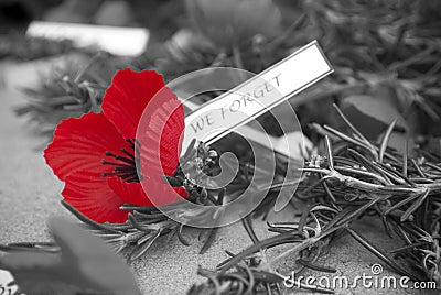 Red poppy anzac day remembrance day Stock Photo