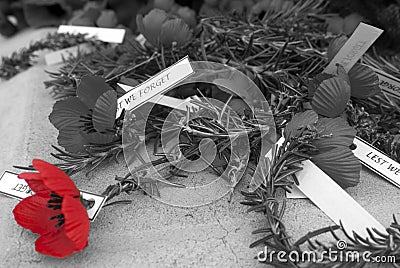 Red poppy anzac day remembrance day Stock Photo