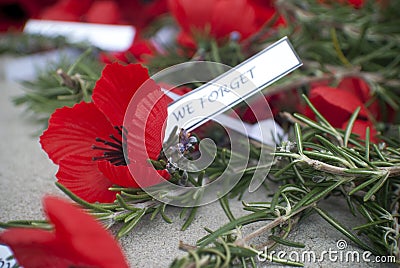 Red poppy anzac day remembrance day Stock Photo