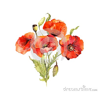 Red poppy flowers bouquet. Watercolor for Memorial, Anzac day Stock Photo