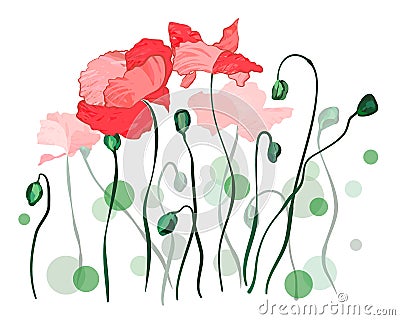 Red poppy flower blossoms and flowers over white background. Vector drawing of red poppies on two layers. Vector Illustration
