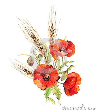 Red poppy flowers, wheat stems bouquet. Watercolor summer poppies illustration for Memorial, Anzac day Cartoon Illustration