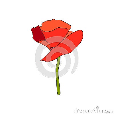 Red Poppy full-blown flower and stem. Side view. Flat sketch style. Scarlett petals. Day of Remembrance Cartoon Illustration