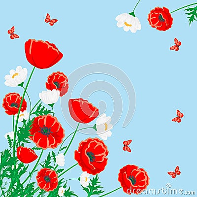 Red poppy and white chamomile illustration. Vector flower with butterfly on blue. Vector Illustration