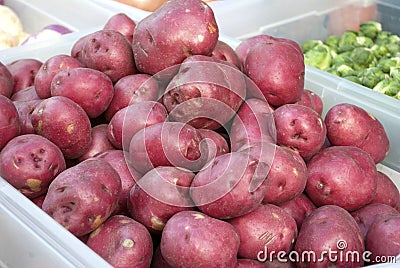 Red Potatoes Stock Photo