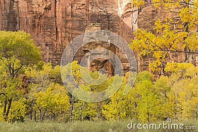 Red Pulpit Amidst the Yellow Trees Stock Photo