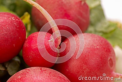 Red radish Stock Photo