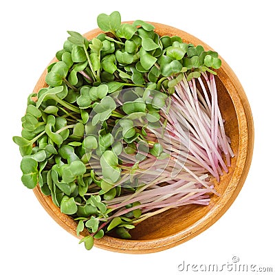 Red radish microgreens in wooden bowl over white Stock Photo