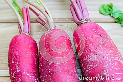Red radish Stock Photo