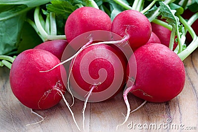 Red Radishes Stock Photo