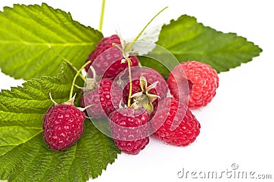 Red raspberry fruits Stock Photo
