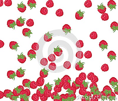 Red Raspberry pattern Vector Illustration
