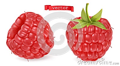 Red raspberry vectorized image. Fresh fruit. 3d realistic vector icon Vector Illustration