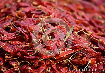 Red raw peppers food item stock photograph Stock Photo