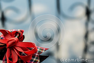 A red ribbon in the box of fabric on a dark mirrored background. Reflection and Shine. Background for stylish and cute design. Stock Photo