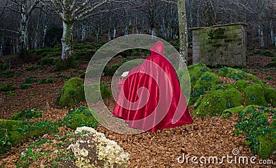 Red riding hood in the dark forest Stock Photo