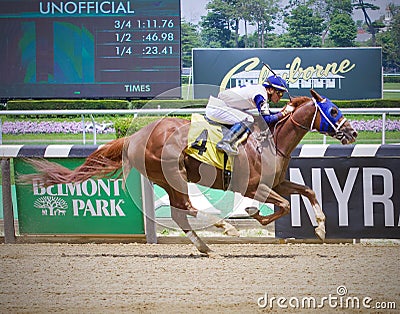 Red Right Hand winning easily at Belmont Park Editorial Stock Photo