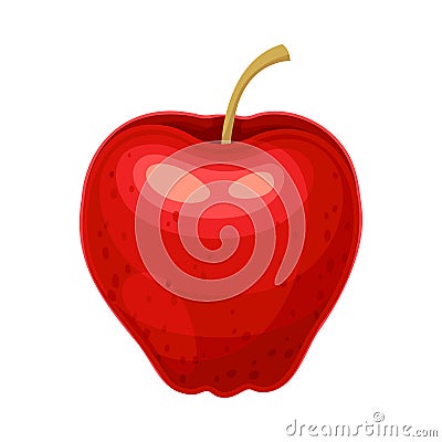 Red ripe apple. Fresh juicy glossy fruit vector illustration Vector Illustration