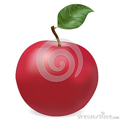Red ripe apple photorealistic Stock Photo