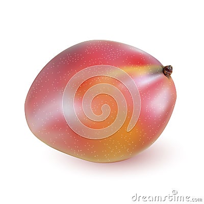 Red ripe mango closeup on wooden surface. Stock Photo