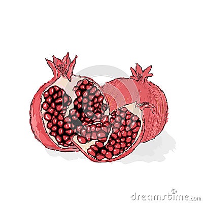 Red ripe pomegranate, a piece of pomegranate. Juicy pomegranate Cartoon Illustration