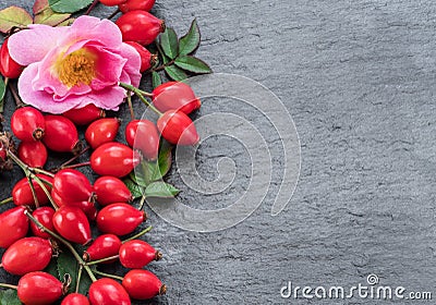 Red ripe rose-hips on gray graphite background. Top view Stock Photo