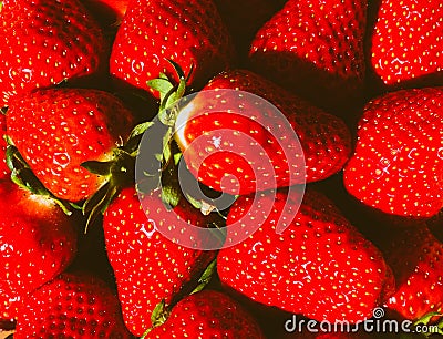 Red ripe strawberries background. Stock Photo