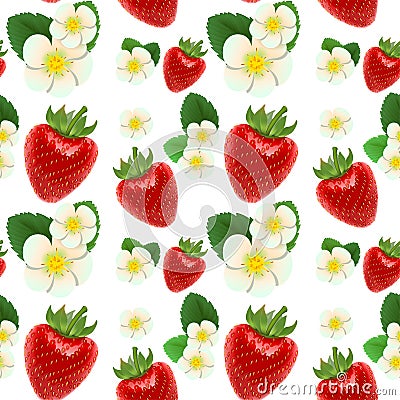 Red ripe strawberries, white flowers and green leaves. Seamless background Vector Illustration