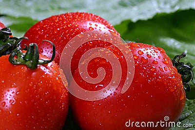 Red ripe tomatoes Stock Photo