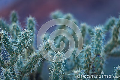 Red Rock Canyon 8 Stock Photo