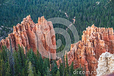 Red rocks formations and pine tree forest, aerial view, Bryce Canyon, Utah Stock Photo