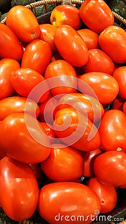 Red Roma Tomatoes Stock Photo