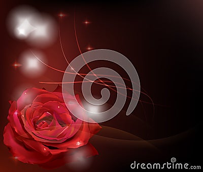 Red rose Stock Photo