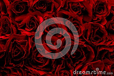 Red rose background, Fake flower. Decoration flora wallpaper. Stock Photo